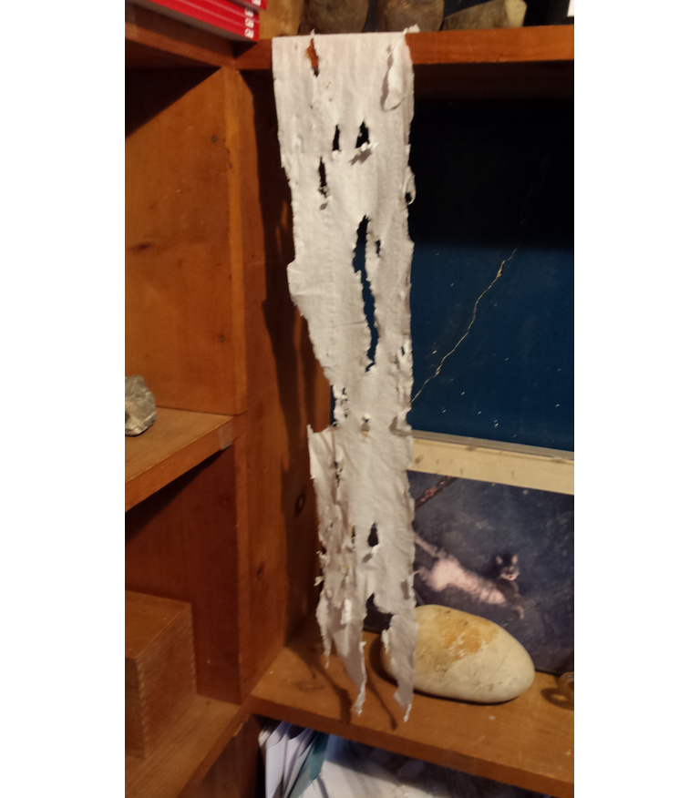 Frotage, Toilet Paper Scroll (School of Fontana), 2016